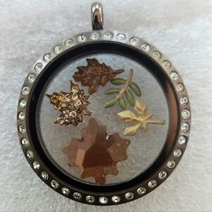 Origami Owl Locket set with adjustable chain